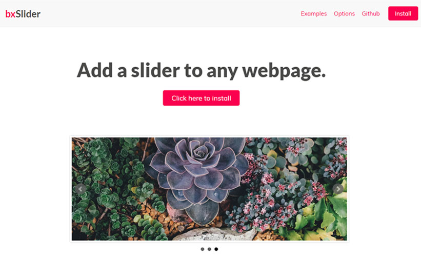 zwnet